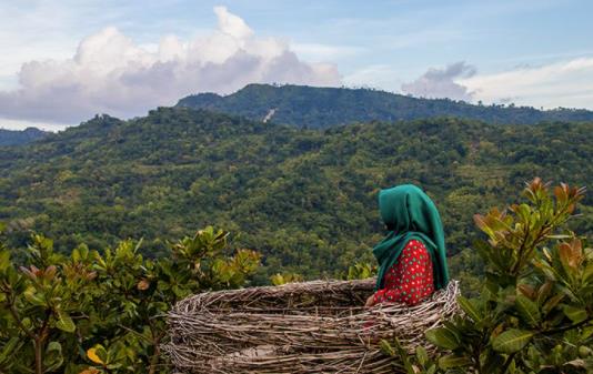 Read more about the article Tempat Wisata di Gunung Kidul
